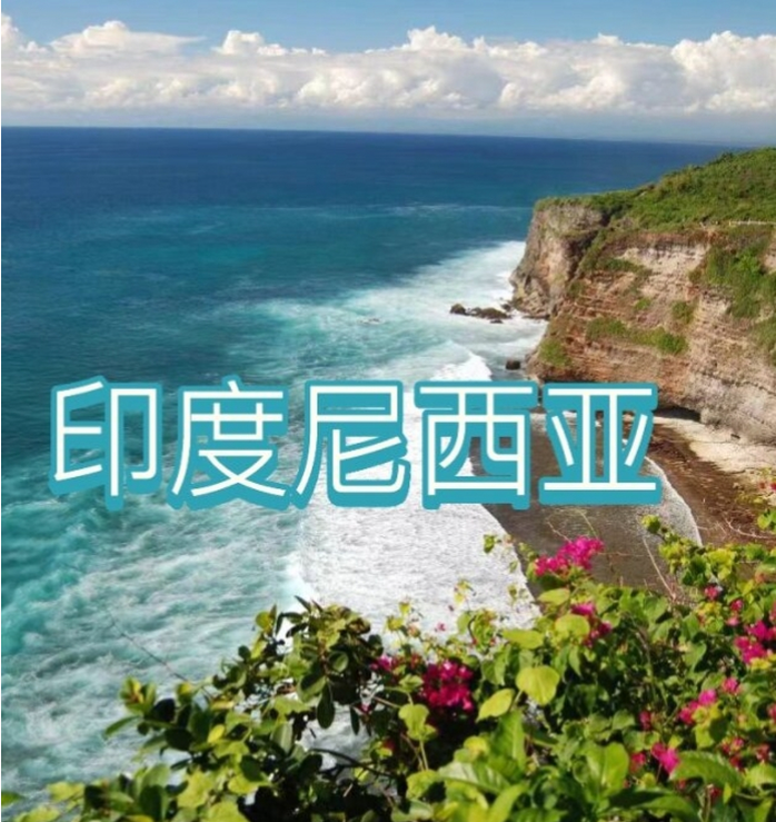 国国际电商(印尼)产业博览会新葡京娱乐场app2025中